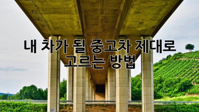 내 차가 될 중고차, 제대로 고르는 방법!